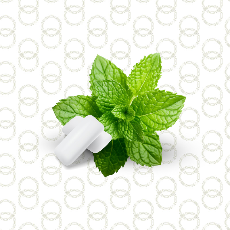 Gum Mint Mazaya